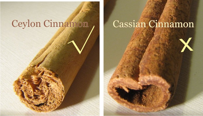 cinnamom comparison