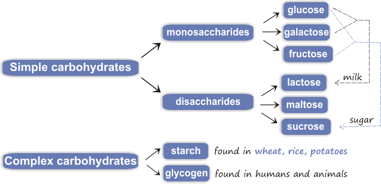 carbohydrates in honey