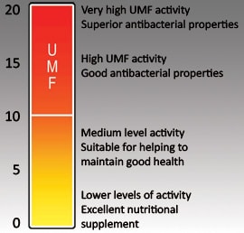 what is UMF unique manuka factor