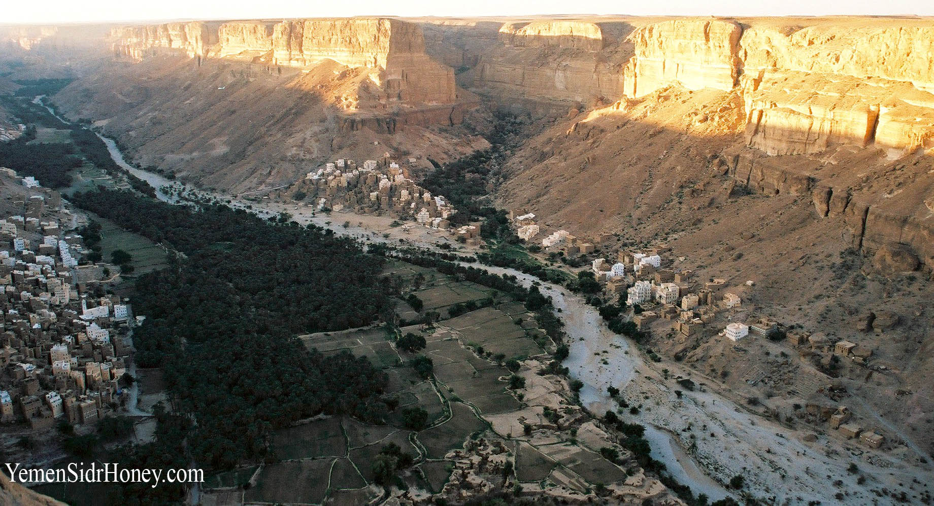 Do'an Valley full of sidr trees