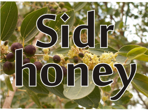 sidr honey is recommended by the Prophet