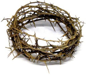 Jesus' thorn crown was made of sidr branches