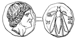 ancient coin with the head of Aristaeus and bee