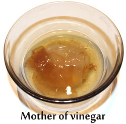 mother of vinegar