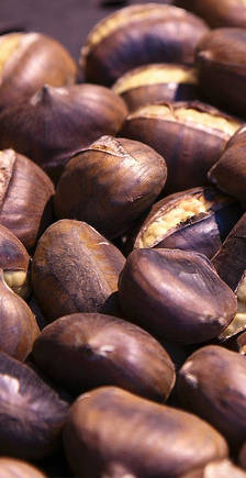 yummy roasted chestnuts