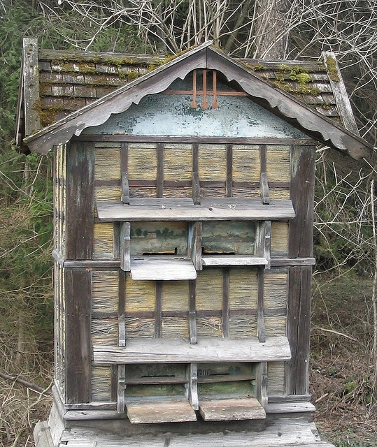 old looking hive