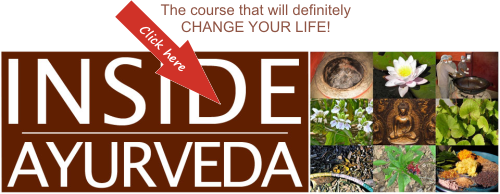 enter now the course Inside Ayurveda