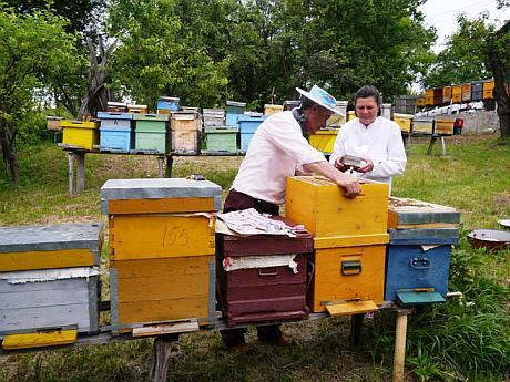 Viorel Iosif and his wife in the apiary