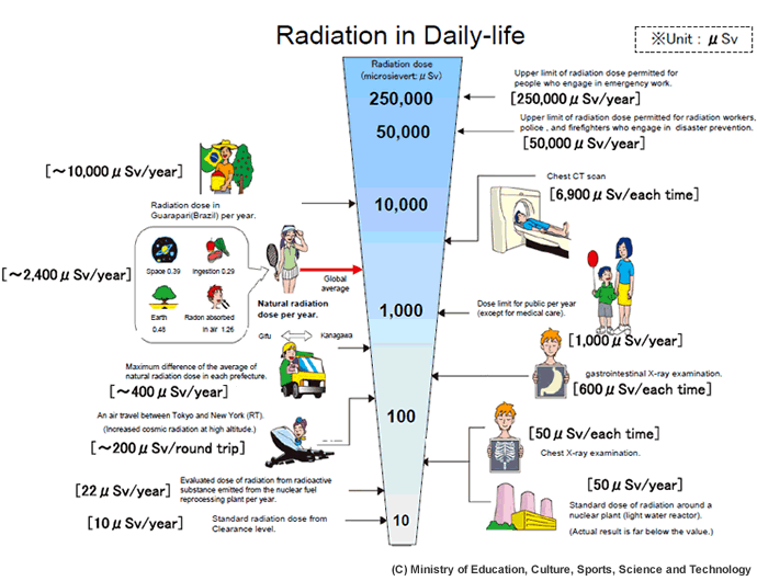 x-ray radiation depends on the part of the body that is radiated