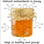 antioxidants present in honey