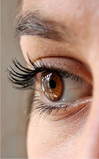natural remedies for eye diseases