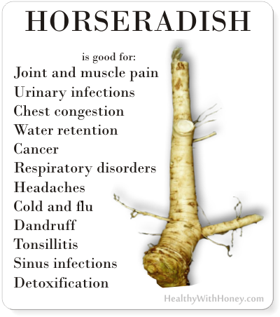 horseradish benefits for health