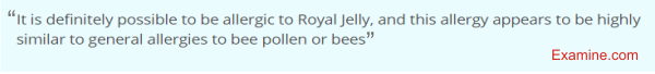 does royal jelly have contraindications