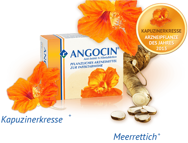 angocin a natural remedy for siusitis bronchitis and UTI