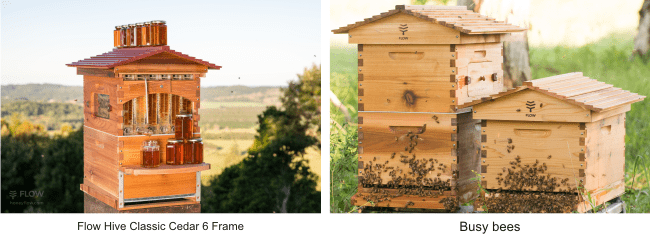 the benefits of having a flow hive