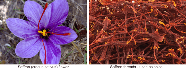 saffron honey stimulates sex