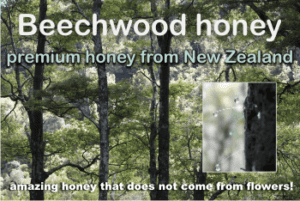 what is beechwood honey