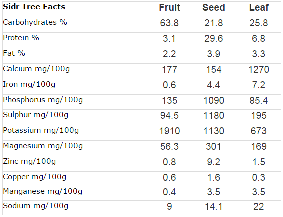 chemical composition of sidr tree