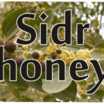 sidr honey benefits for health