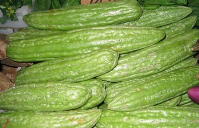 fruit of bitter melon