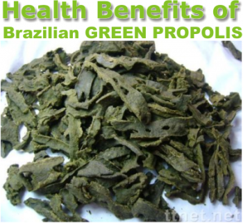 which are the benefits of brazilian green propolis