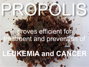 Propolis can prevent and treat LEUKEMIA and CANCER