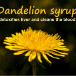dandelion syrup detoxifies liver