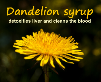 dandelion syrup detoxifies liver