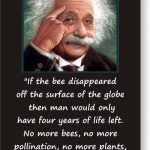 what Einstein said about the disappearance of bees