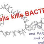 what kills abacteria? propolis