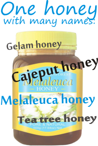 What is melaleuca honey? Or gelam honey? Why so many different names?