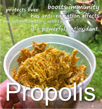 health benefits of propolis