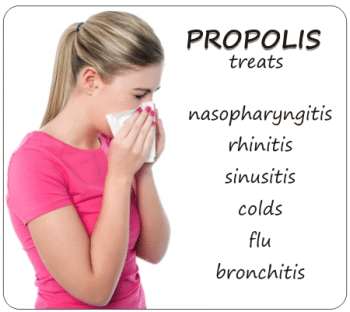 propolis for ORL diseases