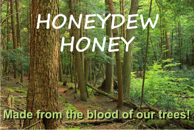 What is honeydew honey?