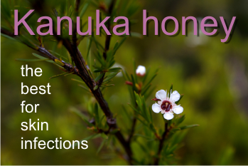 Kanuka Honey treats acne and rosacea! What is kanuka honey?