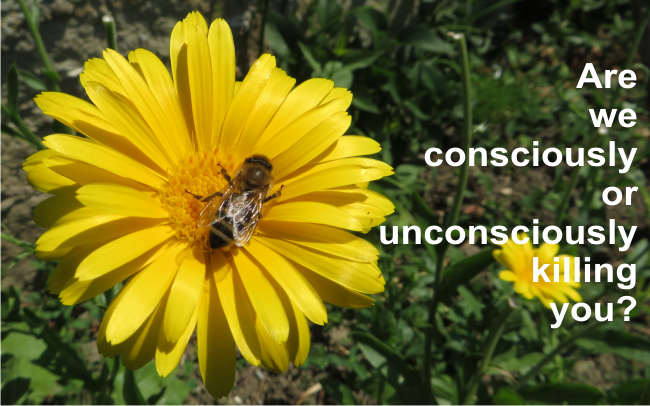 Neonicotinoids are poison to bees and our honey!