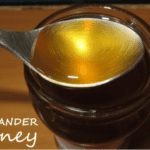 coriander honey health benefits