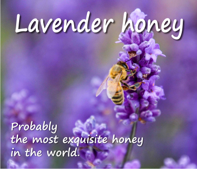 Lavender Honey – a honey for health benefits