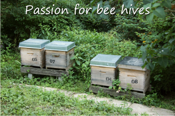 Short review of different kinds of bee hives