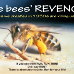 just run if you see a swarm of Africanized bees