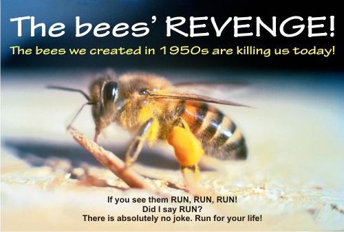 How big is the danger of killer bees? Will they invade the whole planet?