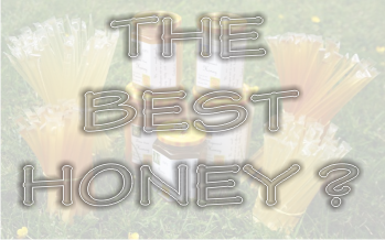 Which is the best honey