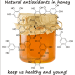 does honey have antioxidants