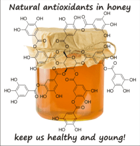 does honey have antioxidants
