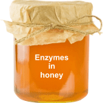 are enzymes in honey important?