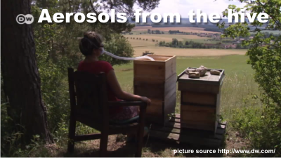 aerosold from the hive are treating asthma, bronchitis, colds