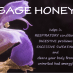 what is sage honey good for