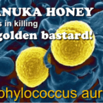 what natural product kills superbugs