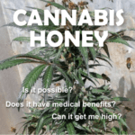 honey made from cannabis