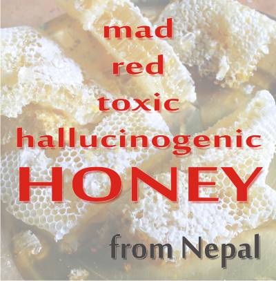 Himalayan Red Honey – aka mad, toxic, hallucinogenic honey from Nepal.